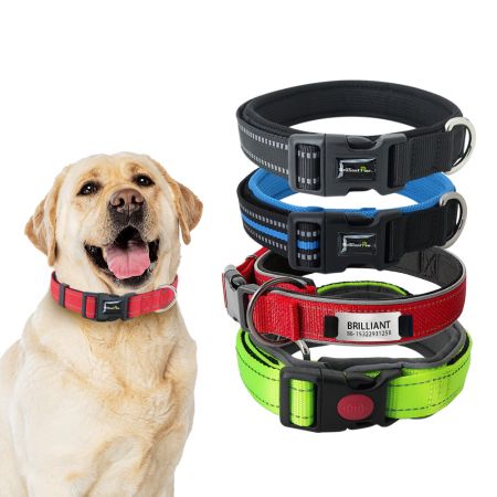 Wholesale Neoprene Padded Dog Collar - Wholesale Reflective Padded Dog Collar